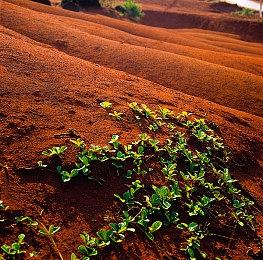 VR开放世界忍者游戏《岚：罪恶之城》正式上市