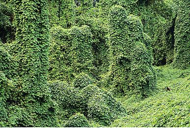 微软对Xbox的未来有信心 但强调需要找到新玩家